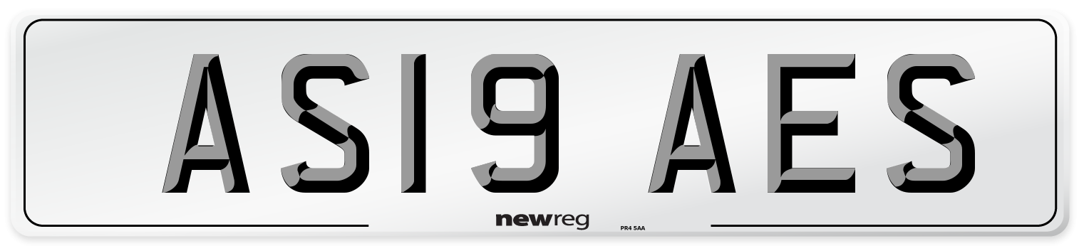 AS19 AES Number Plate from New Reg